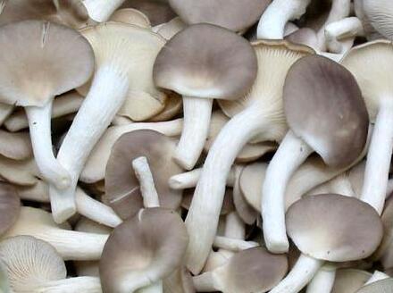 QQ截圖20211111094453.jpg QQ截圖20211111094453.jpg